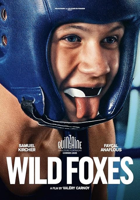 Wild Foxes